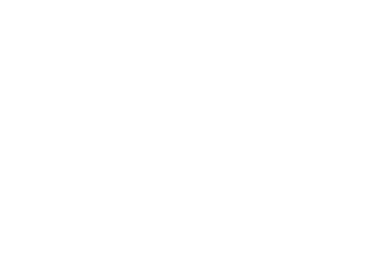 Logo - Tortoise Walk